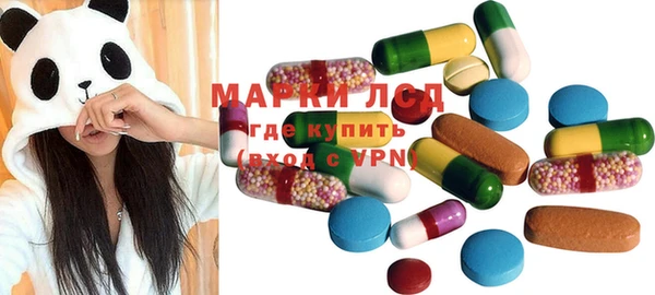ПСИЛОЦИБИНОВЫЕ ГРИБЫ Костерёво