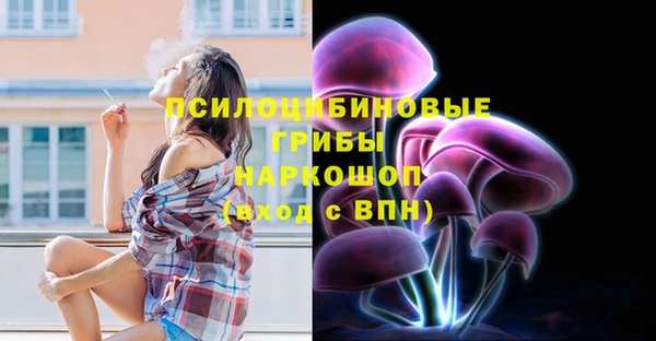 ПСИЛОЦИБИНОВЫЕ ГРИБЫ Костерёво