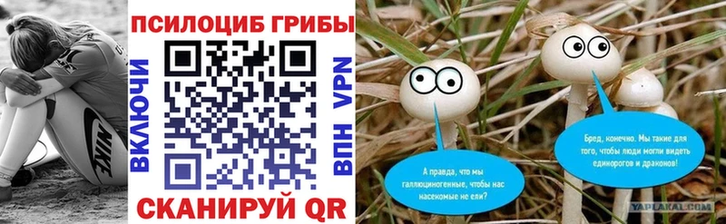 Псилоцибиновые грибы Magic Shrooms  Купить где  Губаха 